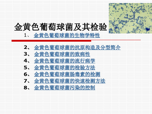 3.金黄色葡萄球菌及其检验