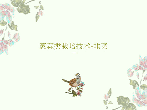 葱蒜类栽培技术-韭菜共19页PPT