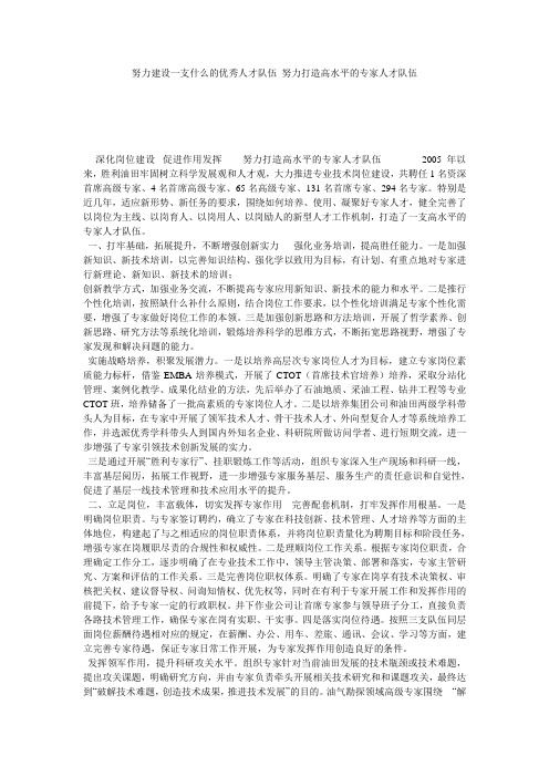 努力建设一支什么的优秀人才队伍_努力打造高水平的专家人才队伍