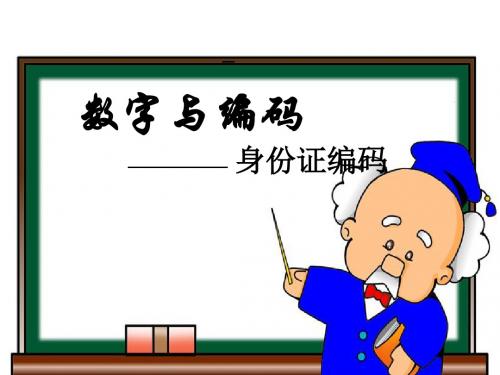 《数字与编码》ppt