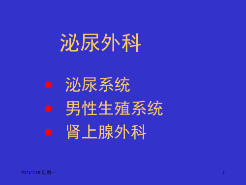 医学专题泌尿外科总论详解