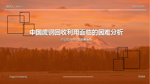 2023年中国废钢产业分析：回收利用发展困难报告模板