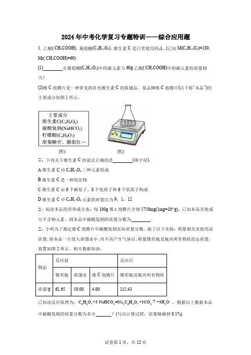 2024年中考化学复习专题特训综合应用题