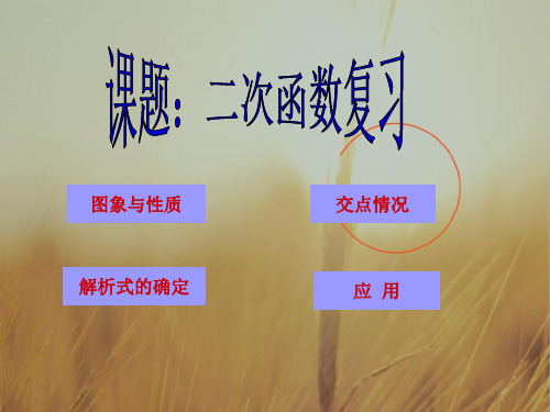 初三数学最新课件-九级数学二次函数总复习 精品