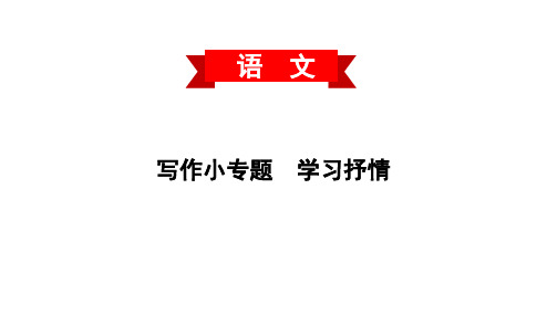 写作小专题 学习抒情-(人教部编版)七年级语文下册PPT课件 (9张)