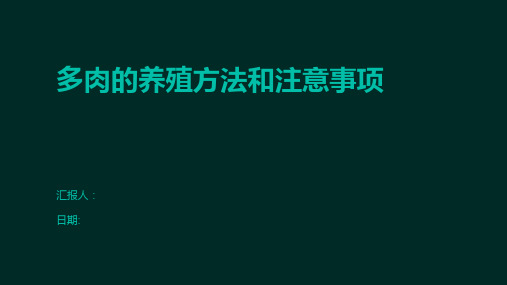 多肉的养殖方法和注意事项