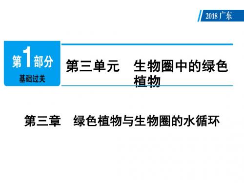 人教版生物2019年广东中考总复习：第3单元 第3章 绿色植物与生物圈的水循环