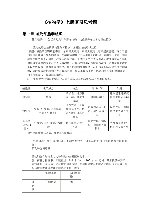 植物学上册复习思考题整理笔记