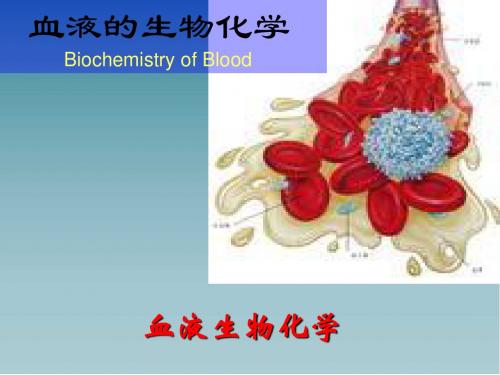 血液生化PPT医学课件