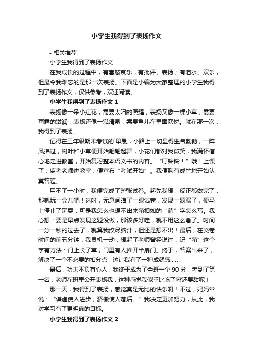 小学生我得到了表扬作文