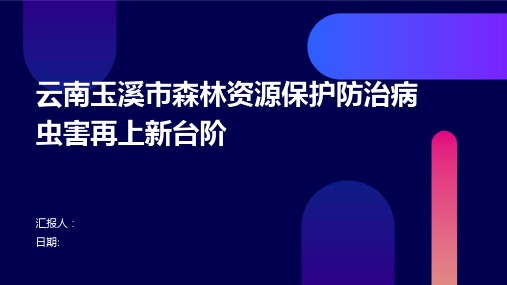 云南玉溪市森林资源保护防治病虫害再上新台阶