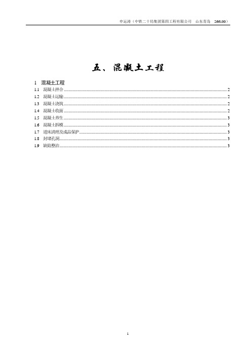 弹性支承块式无砟轨道施工工艺-5混凝土工程