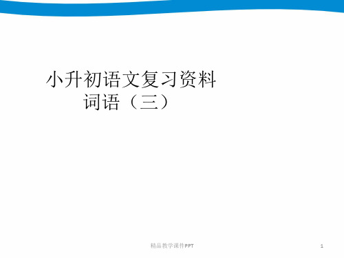 小升初专项复习——词语
