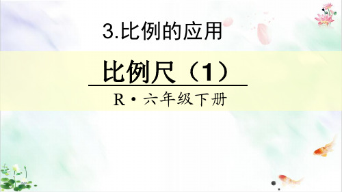 六年级下册数学课件比例尺人教新课标秋ppt新ppt