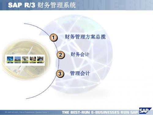 SAPR功能简介财务管理系统