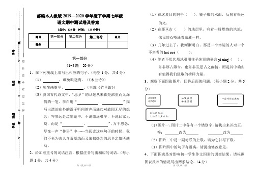 部编本人教版2019---2020学年度下学期七年级语文期中考试卷及答案(含两套题)