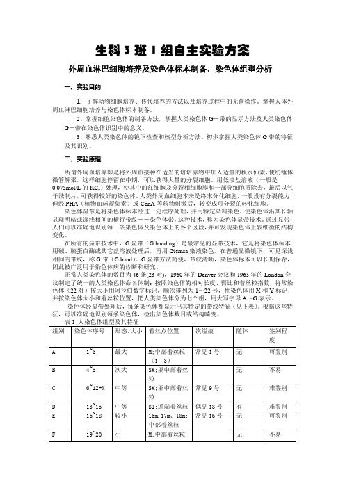 细胞实验方案(修改版)