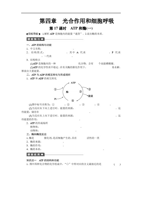 高一生物苏教必修课时作业：第四章 第课时 ATP和酶一 含解析