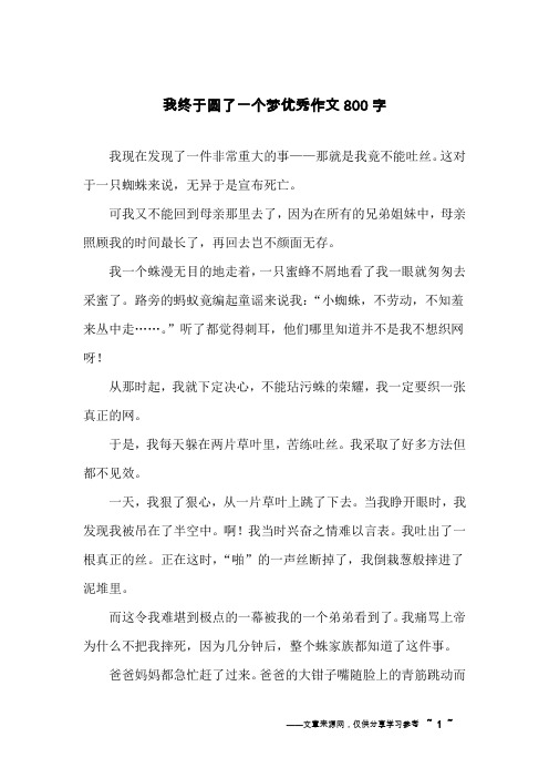 我终于圆了一个梦优秀作文800字