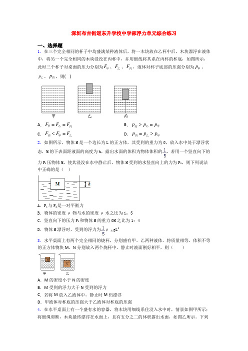 深圳布吉街道东升学校中学部浮力单元综合练习