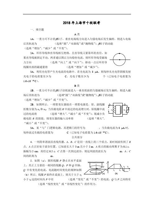 最新-上海市2018十校联考物理(附答案) 精品