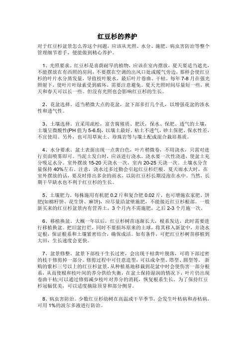 红豆杉的养护