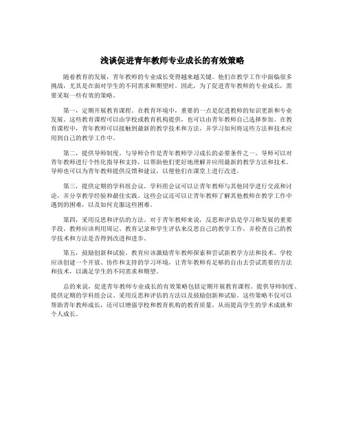 浅谈促进青年教师专业成长的有效策略