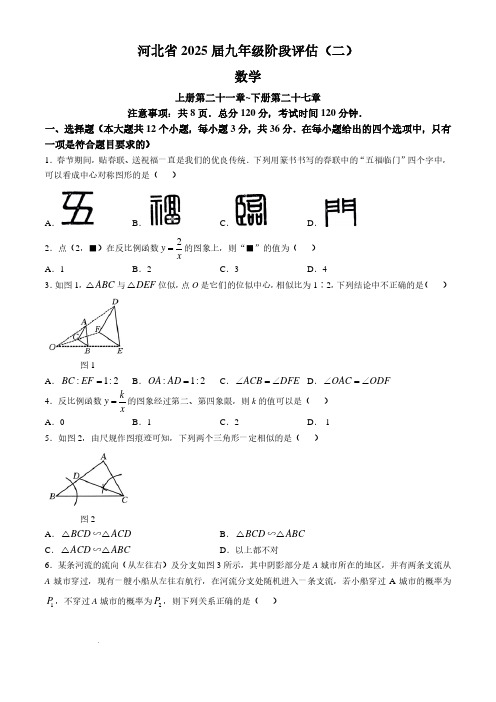 河北廊坊2024年九年级上学期11月月考数学试题+答案