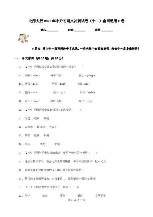 北师大版2020年小升初语文冲刺试卷(十二)全国通用C卷
