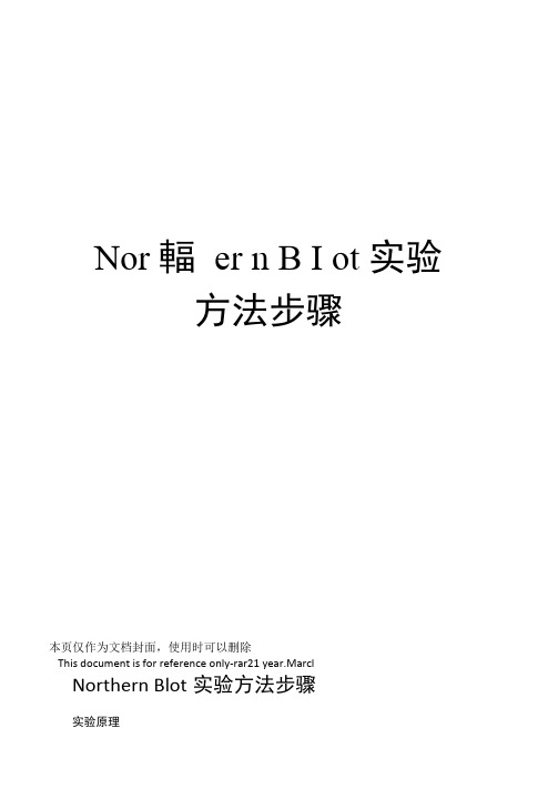 northernblot实验方法步骤