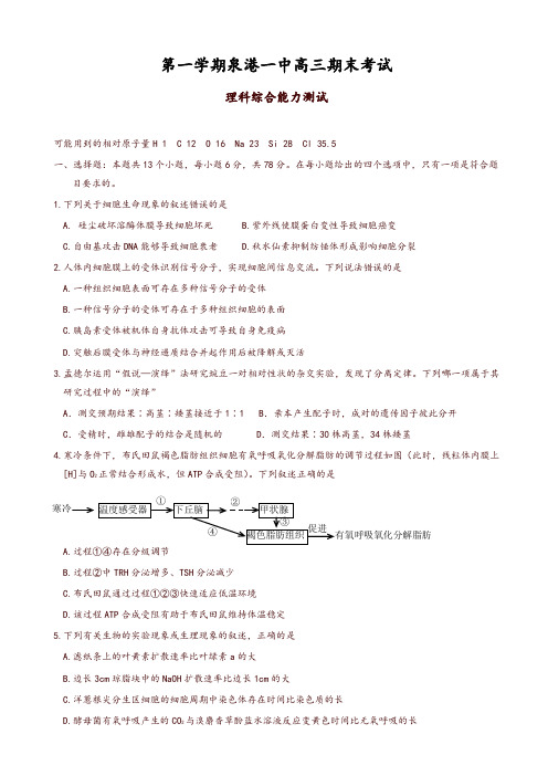 2019-2020年福建省泉港区高三上学期期末考试理科综合有答案-推荐