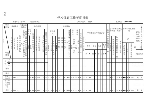 成县索池学区体育工作年度报表
