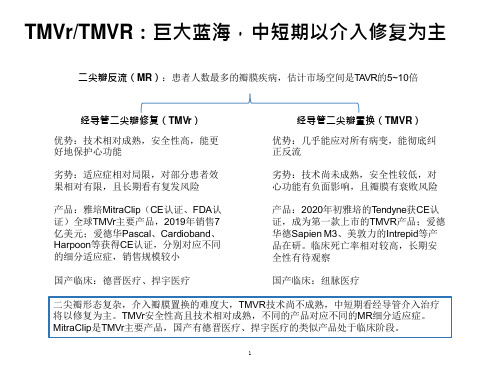 经导管介入瓣膜置换TMVR、TMVr市场规模及格局分析