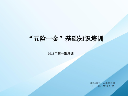 五险一金基础知识培训教案