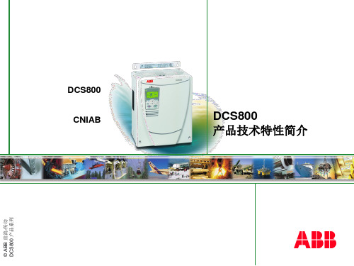 DCS800 技术资料及其产品介绍