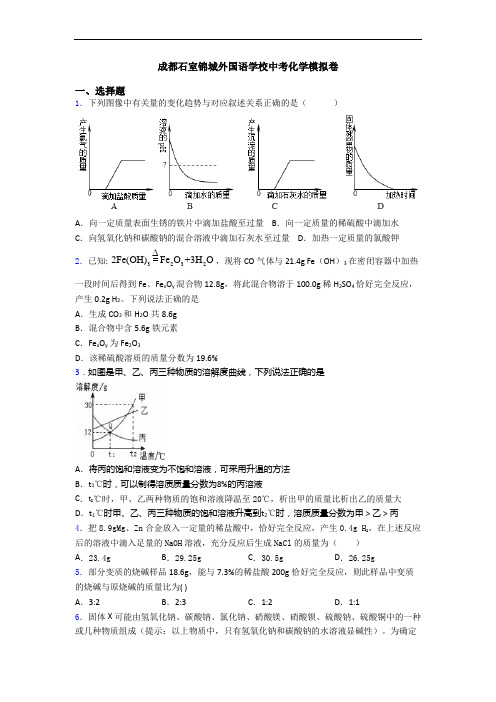 成都石室锦城外国语学校中考化学模拟卷