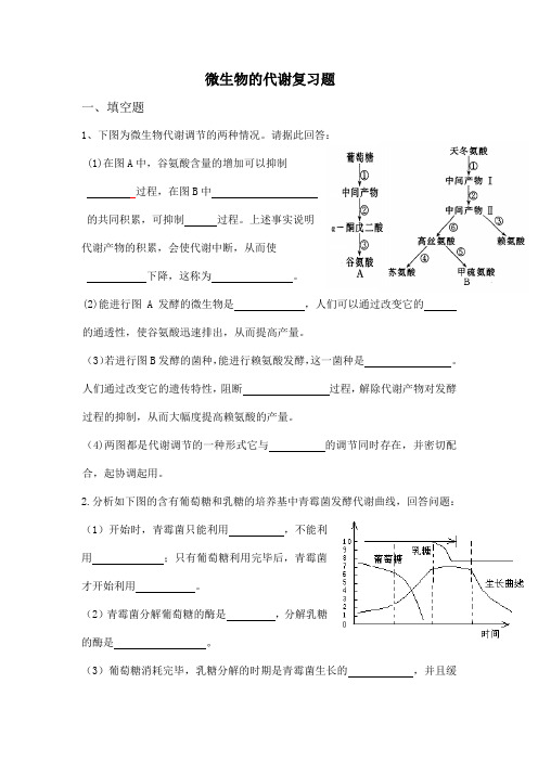 微生物试题-代谢