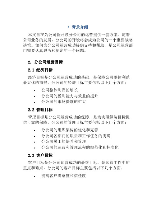 分公司运营方案