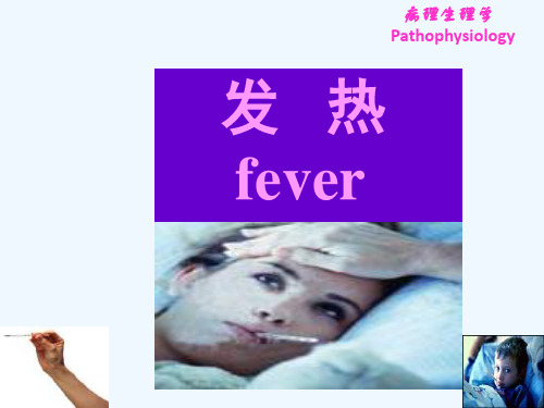 第六章发热