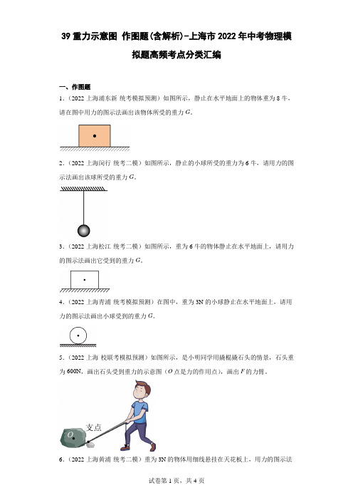 重力示意图作图题(含解析)-上海市2022年中考物理模拟题高频考点分类汇编