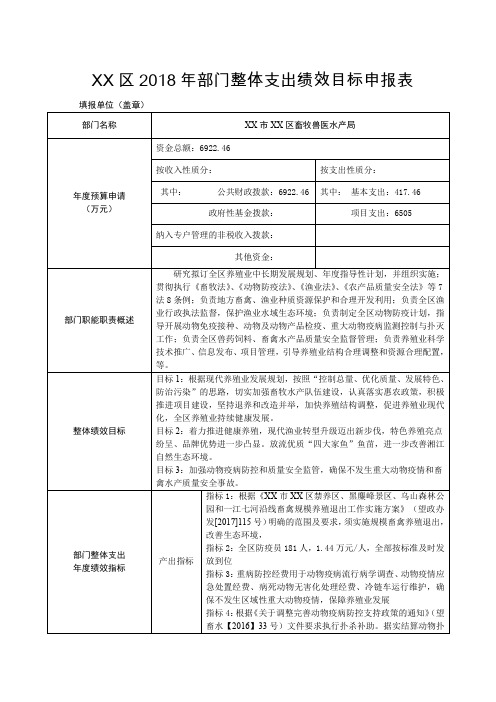 年部门整体支出绩效目标申报表【模板】