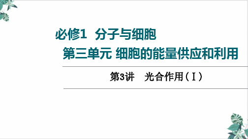 高三一轮复习高考人教版生物第光合作用(Ⅰ)课件