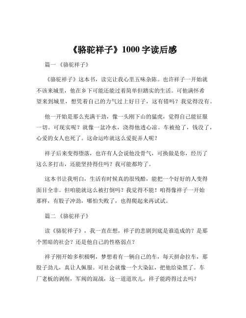 《骆驼祥子》1000字读后感