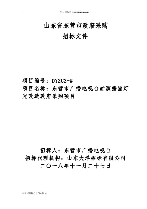 广播电视台演播室灯光改造政府采购项目招投标书范本