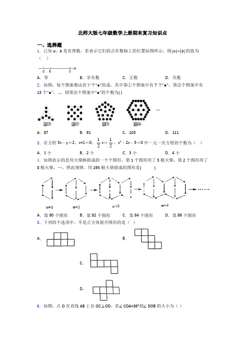 北师大版七年级数学上册期末复习知识点