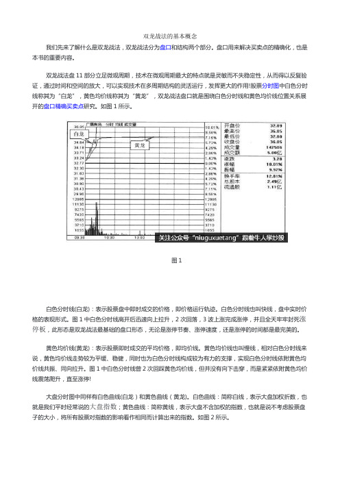 双龙战法的基本概念