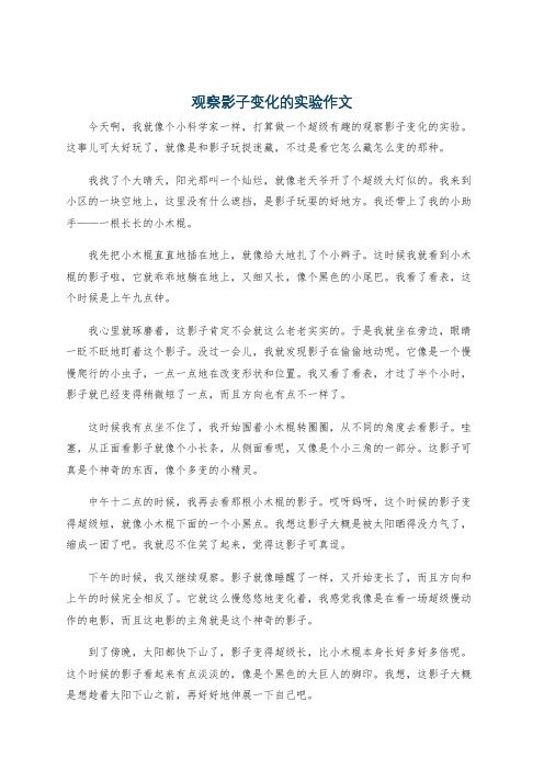 观察影子变化的实验作文