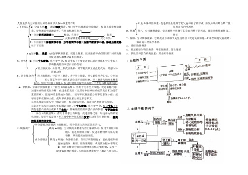 人体主要内分泌腺及分泌的激素以及各种激素的作用