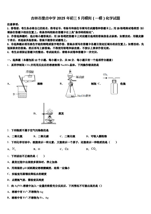 吉林市重点中学2025年初三5月模拟(一模)化学试题含解析