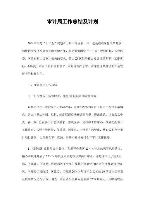 审计局工作总结及计划精选